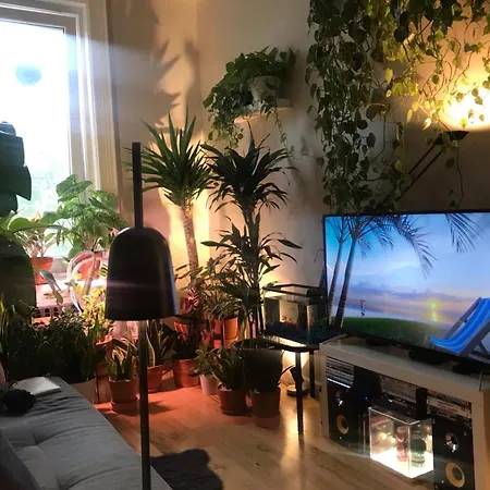 Ferienwohnung Urban Jungle Oasis in Queens!
